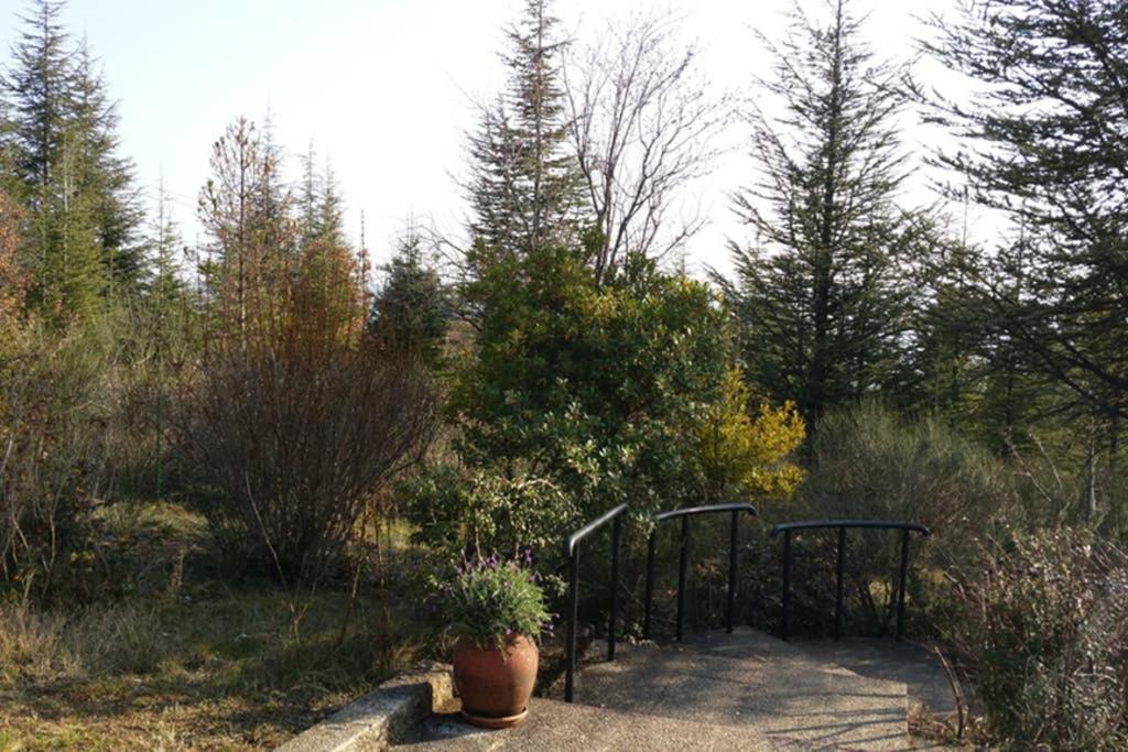 Villa La Lurette, Appartement Et Studio Saint-Étienne-les-Orgues Extérieur photo