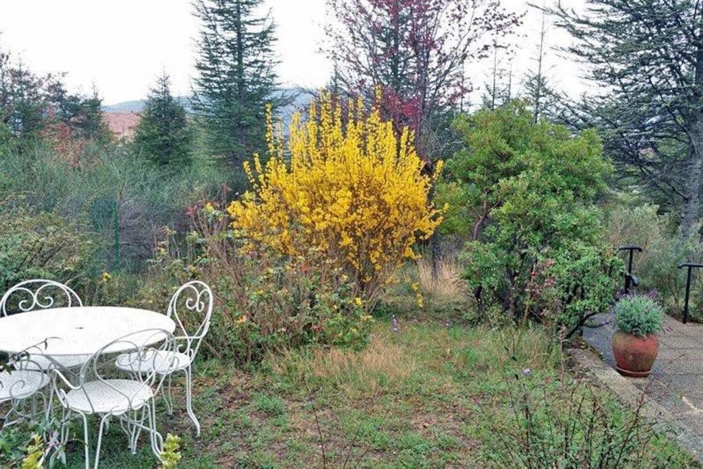 Villa La Lurette, Appartement Et Studio Saint-Étienne-les-Orgues Extérieur photo
